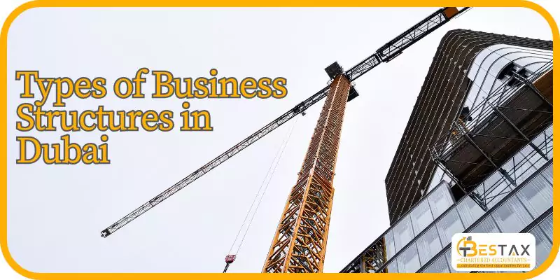 Types of Business Structures in Dubai