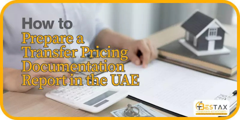 how to prepare Transfer Pricing Documentation
