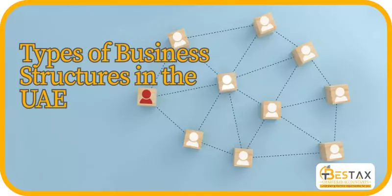 types of business structures in uae